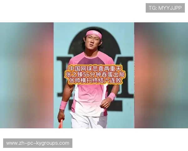 张帅开导张之臻：一个35岁老将的精神传承，张帅子百科